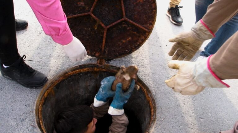 WhatsApp Image 2025-05-31 at 3.41.59 PM