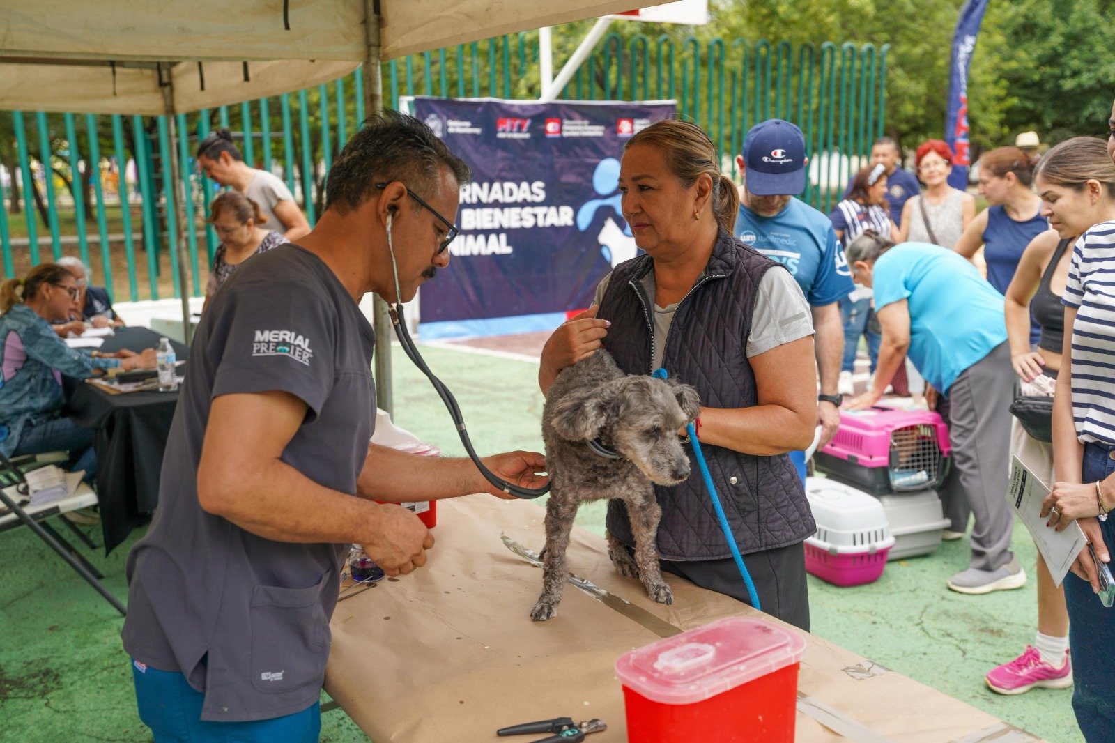 WhatsApp Image 2025-06-22 at 9.54.57 AM