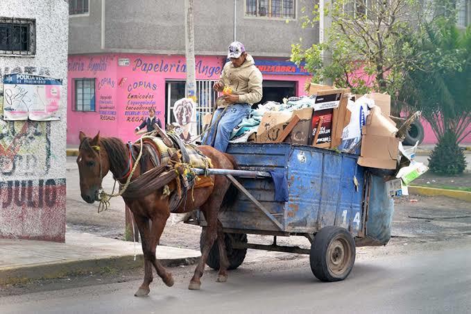 1-operativos-ambiente-d8856e67-focus-0-0-745-622