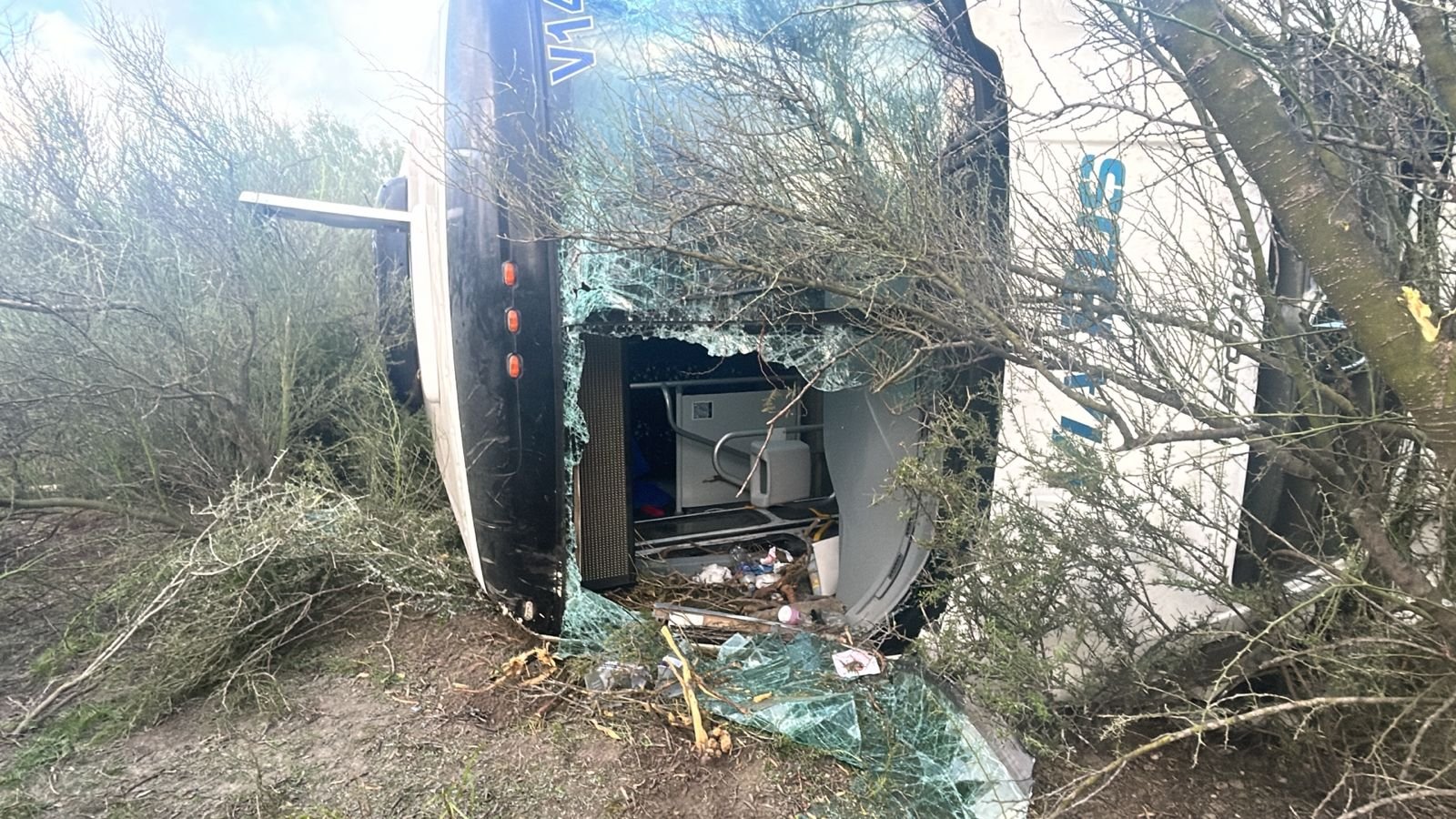 Imagen de WhatsApp 2025-07-29 a las 08.43.00_9fb05d71