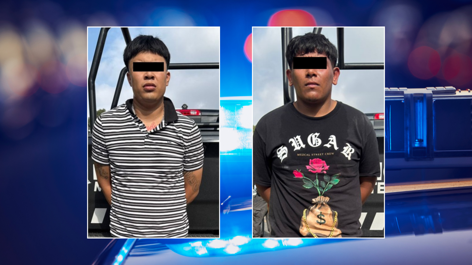 Plecas e informacion