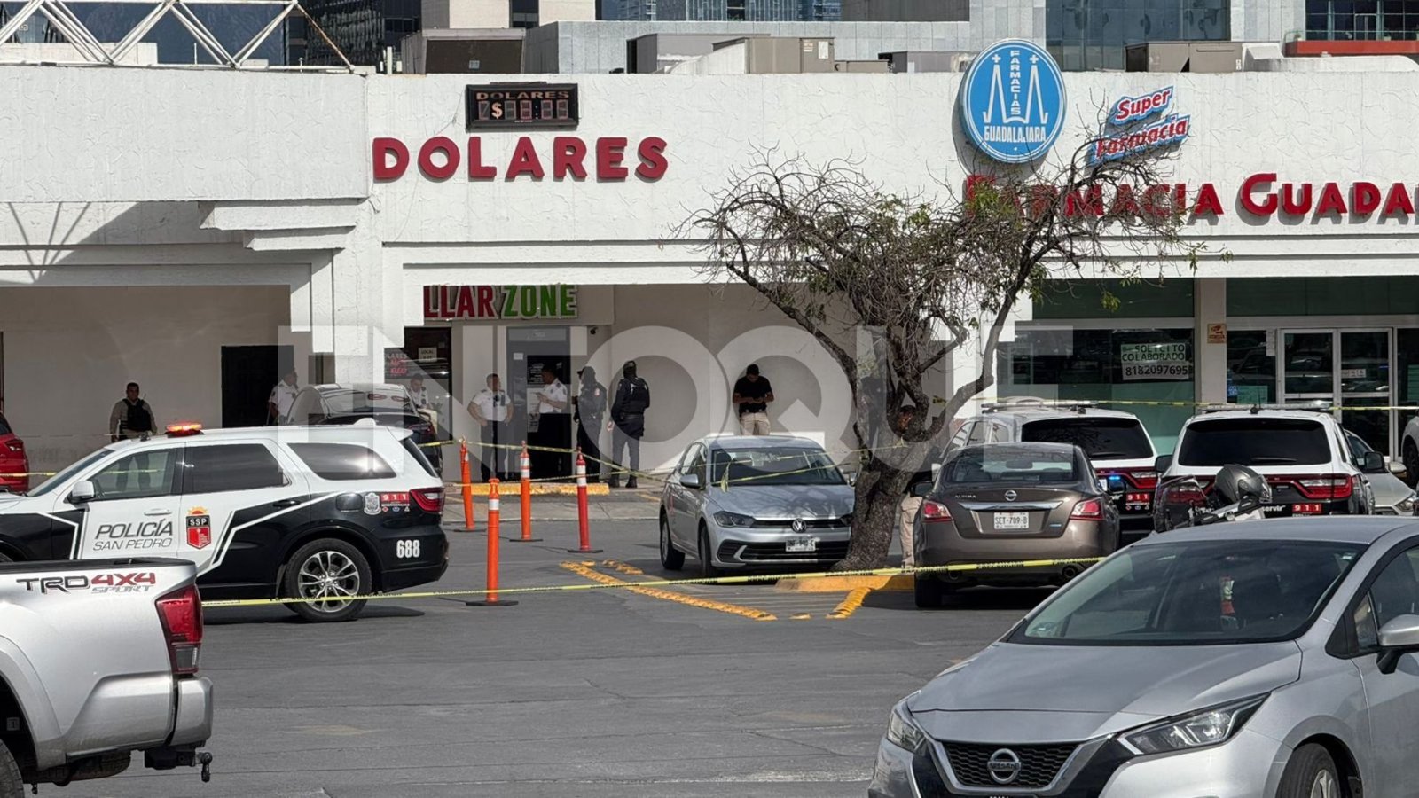 Plecas e informacion (1)