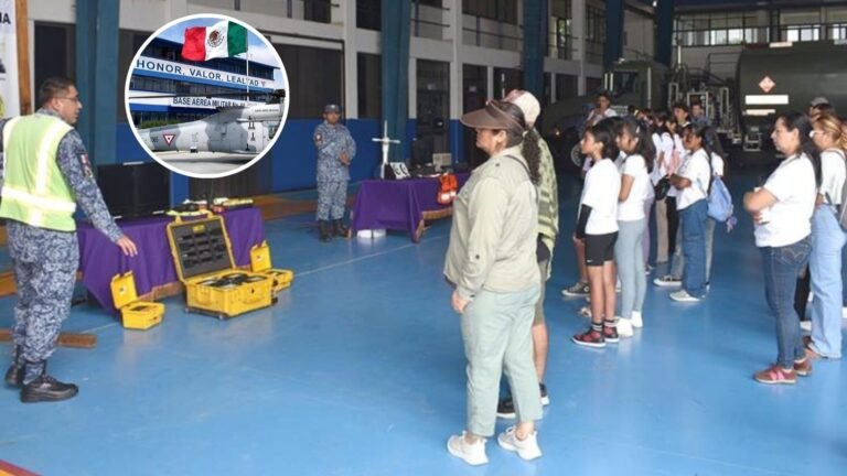 Plecas e informacion (1)