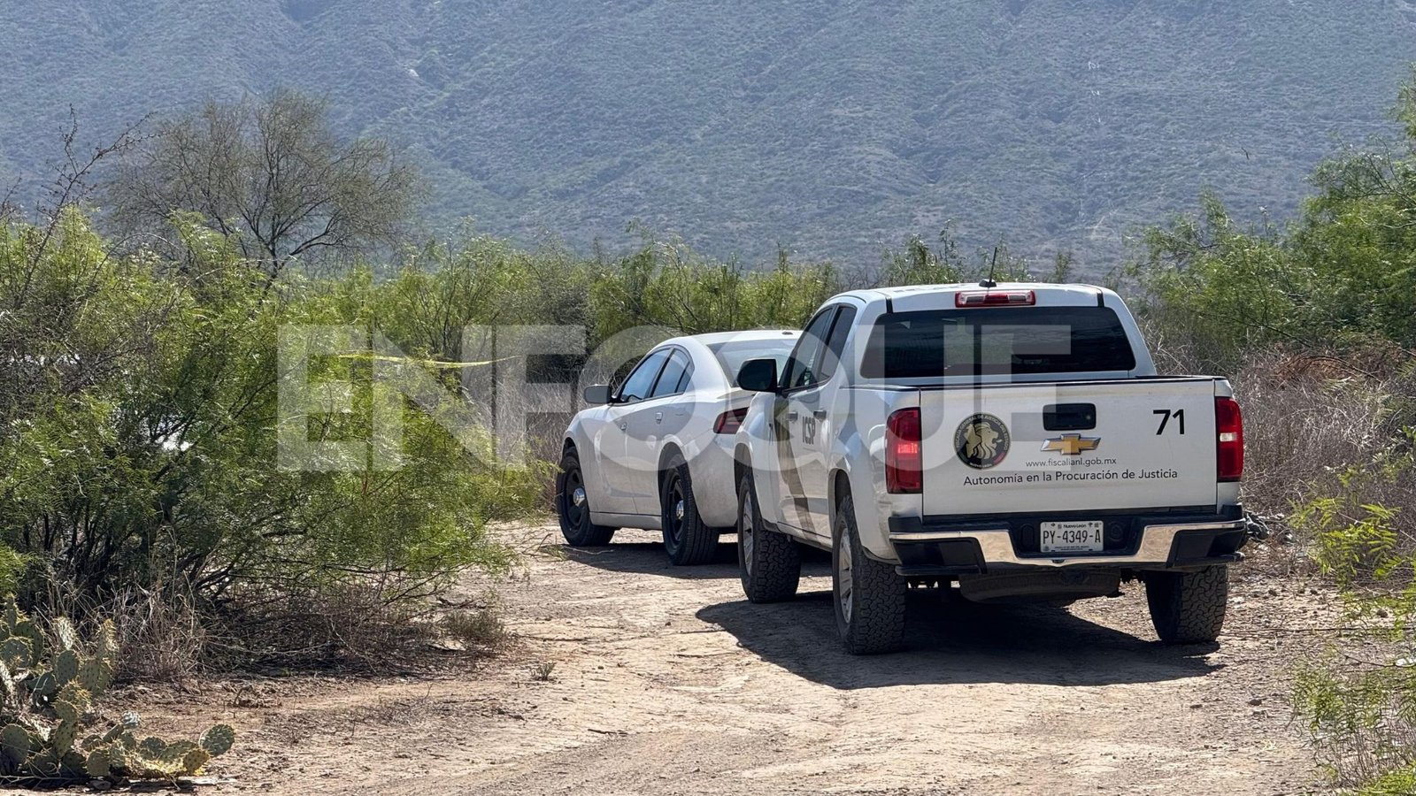 Plecas e informacion