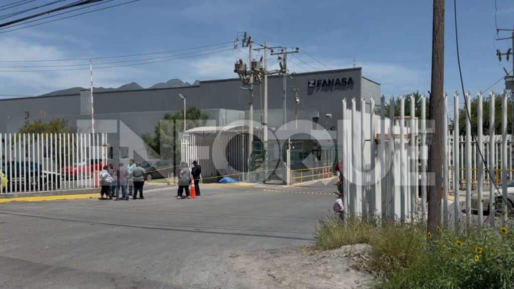 Plecas e informacion (100)