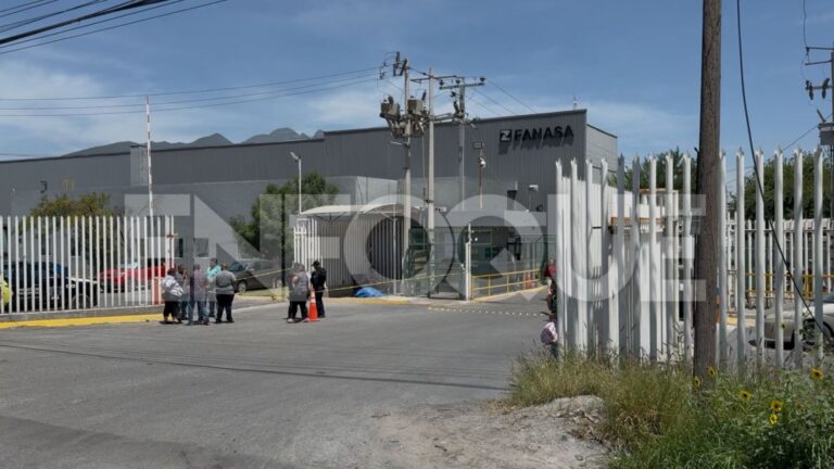 Plecas e informacion (100)