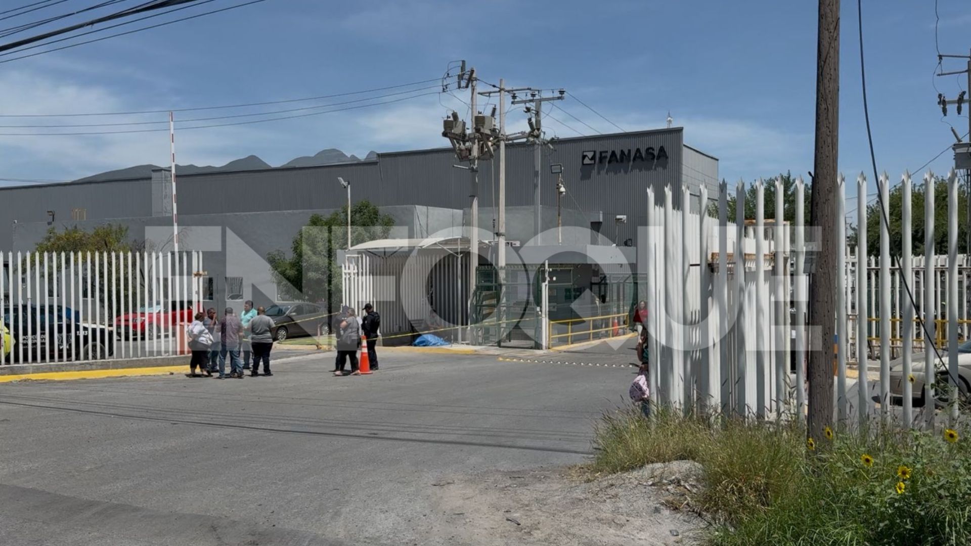 Plecas e informacion (100)