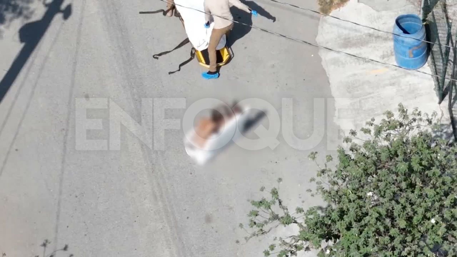 Plecas e informacion (2)