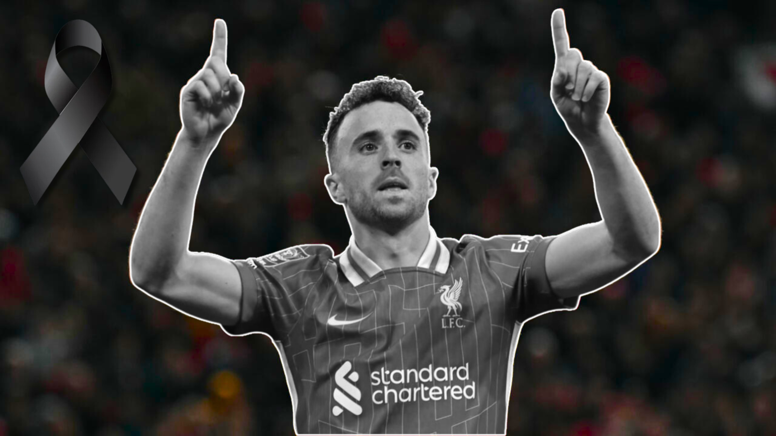 Plecas e informacion - 2025-07-03T132646.022