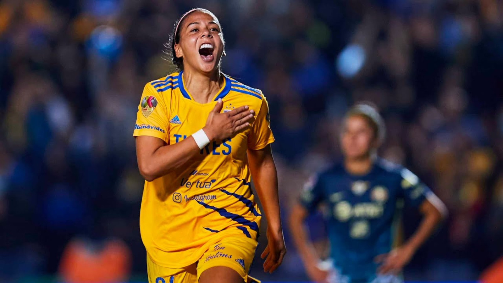 Plecas e informacion - 2025-07-04T095050.347