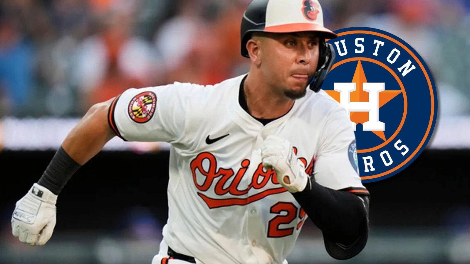 Plecas e informacion - 2025-07-31T153633.667