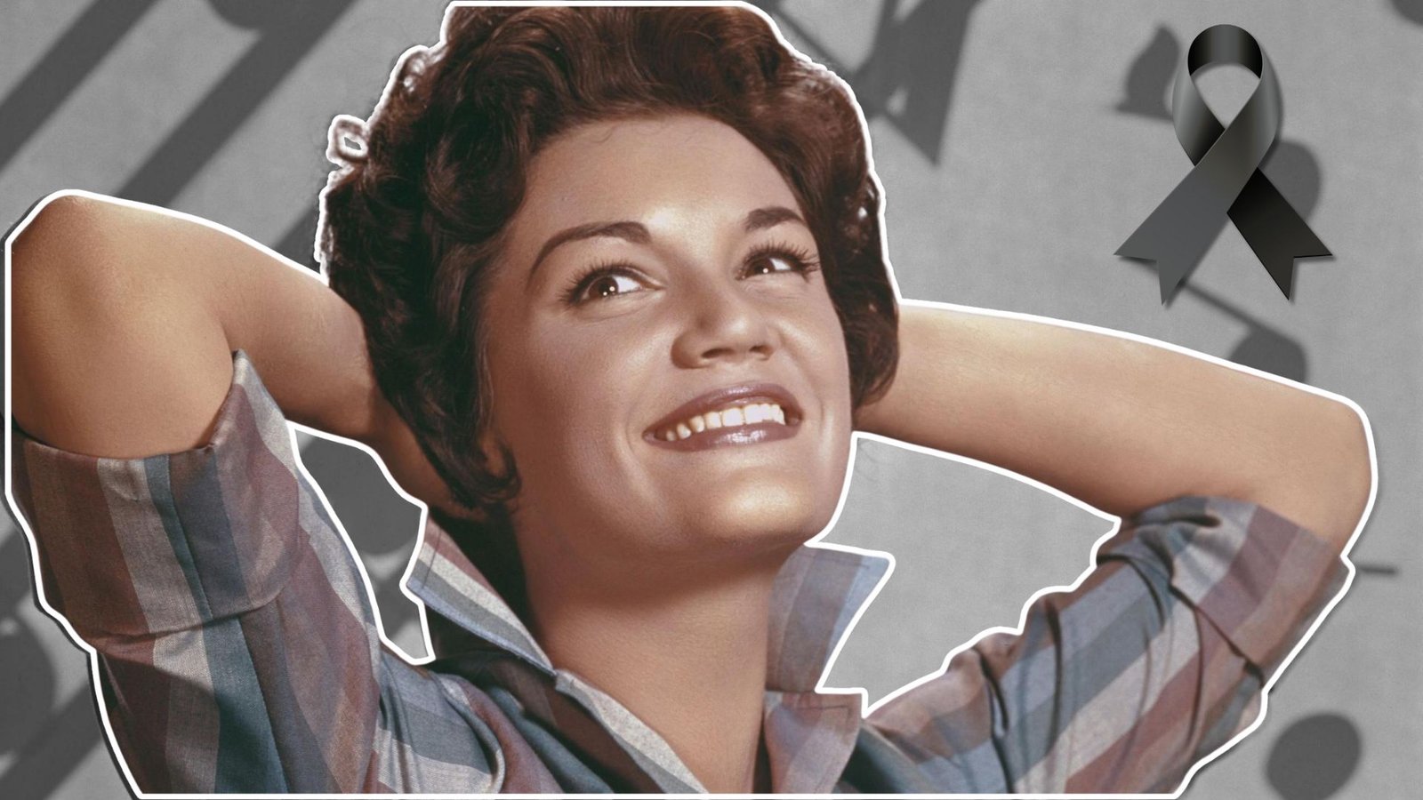 Plecas e informacion (26)