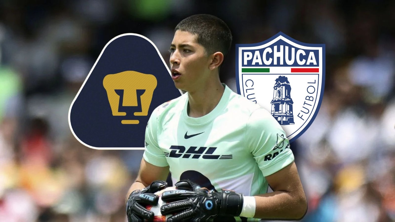 Plecas e informacion (44)