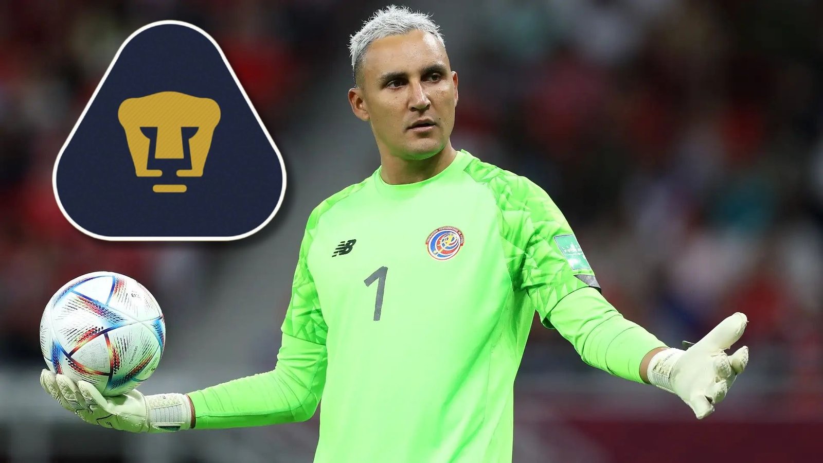 Plecas e informacion (46)