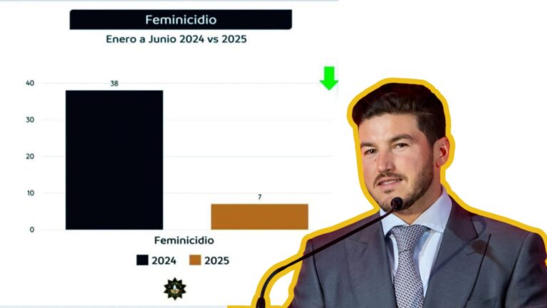 Plecas e informacion (5)