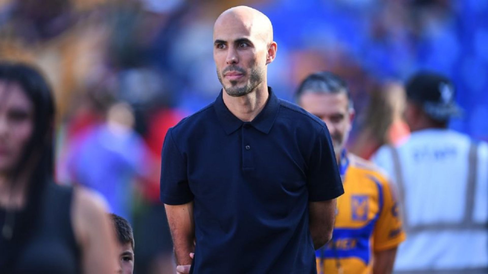 Plecas e informacion (80)