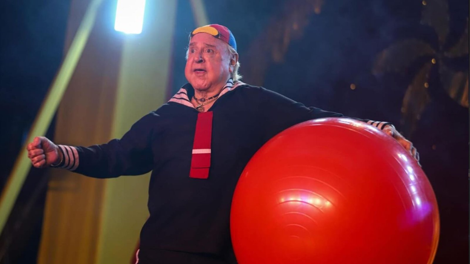 Plecas e informacion (84)