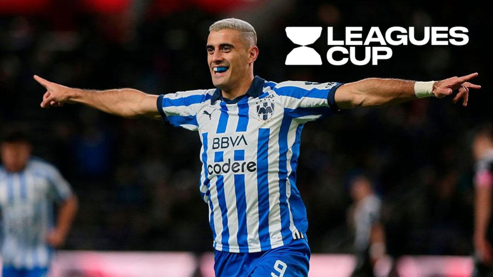 Plecas e informacion (90)