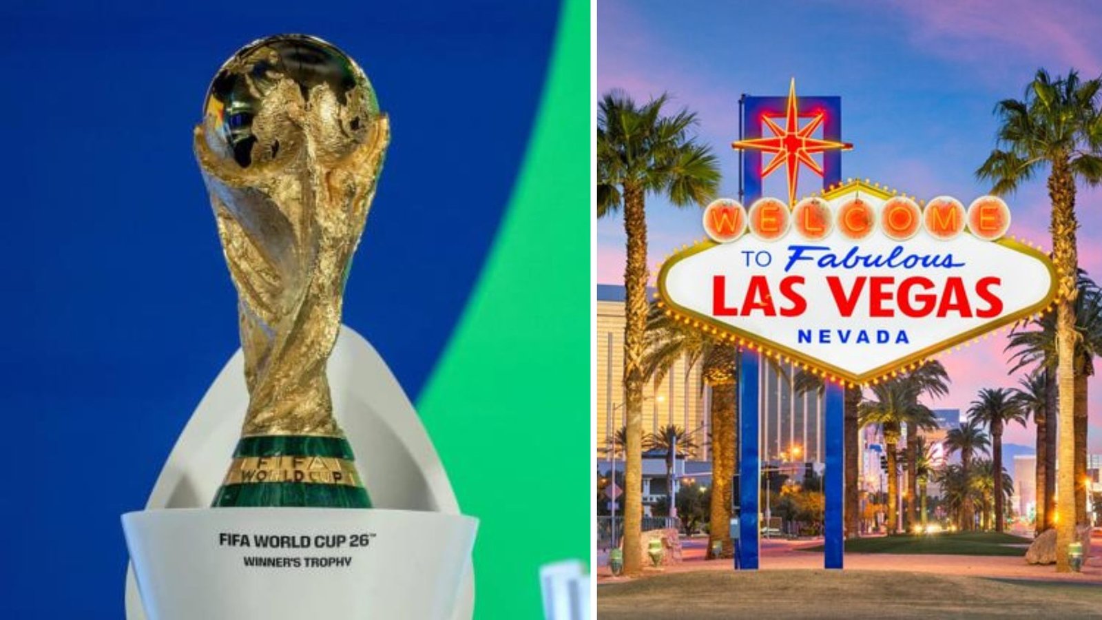 Plecas e informacion (92)