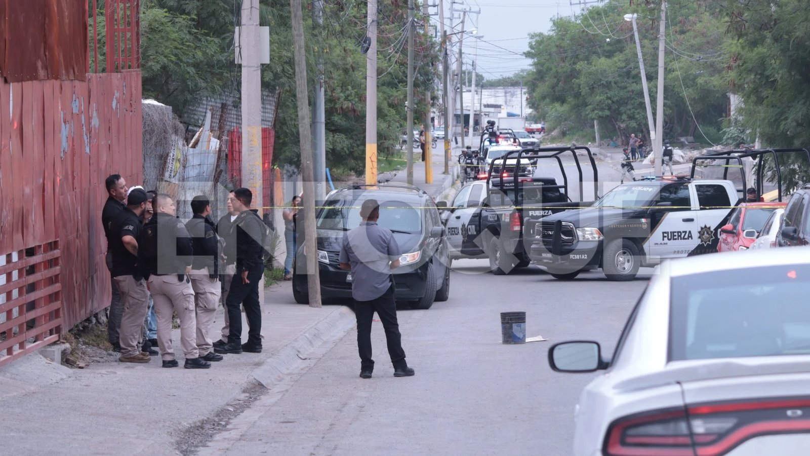 Plecas e informacion