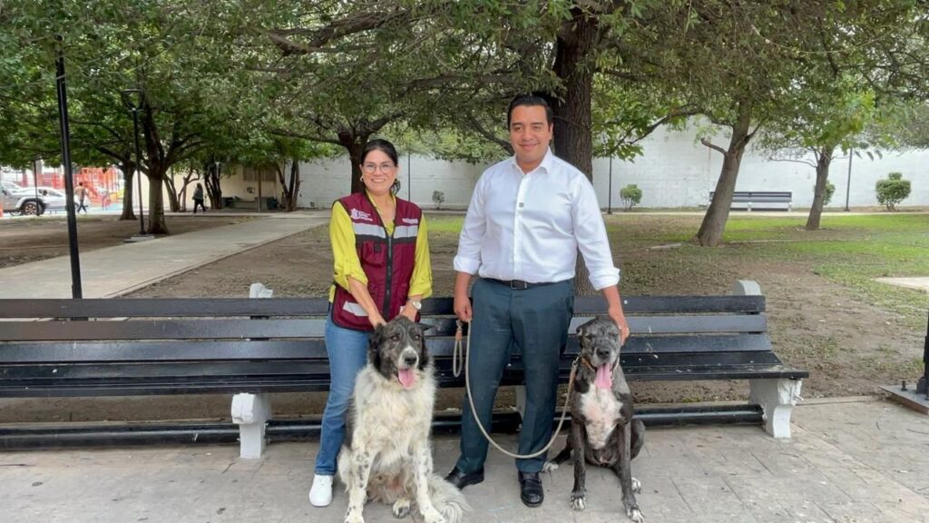 Realizará Santa Catarina Feria de Bienestar Animal