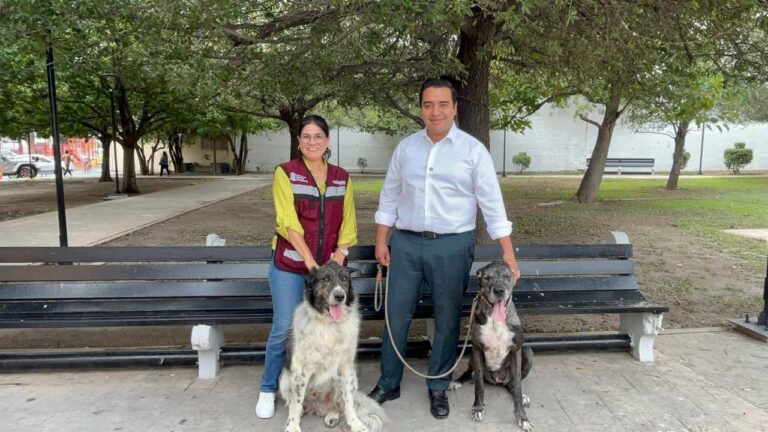 Realizará Santa Catarina Feria de Bienestar Animal