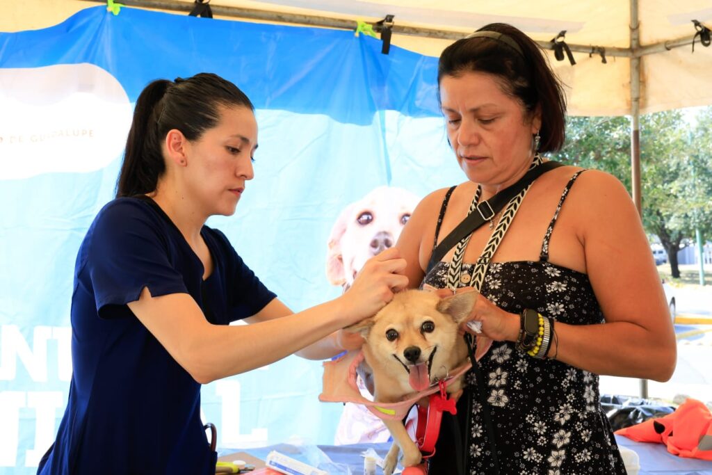 Realizan cuarta “Caminata Perrona” en Guadalupe