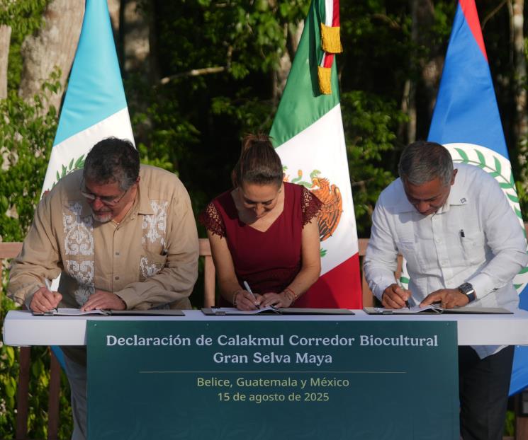 150825-csp-corredor-biocultural-de-la-gran-selva-maya-3-d2a857d0-focus-0-0-745-622