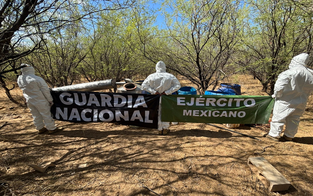 190825_SONORA_04
