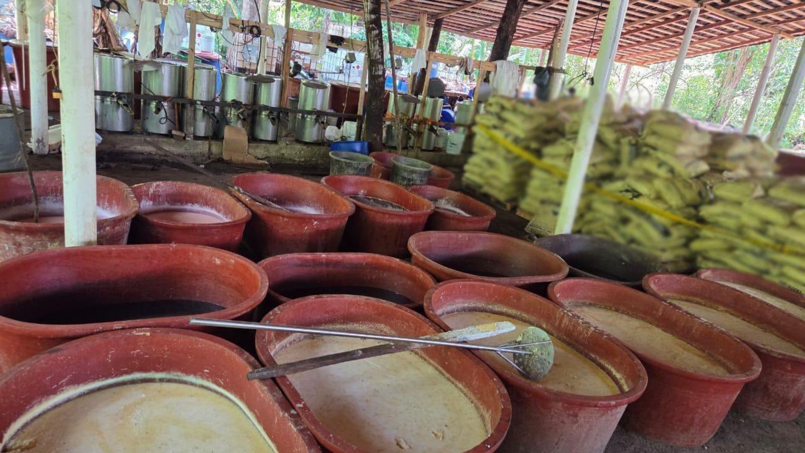 Harfuch Reporta Decomiso de 2.5 Toneladas de Metanfetaminas en Chiapas