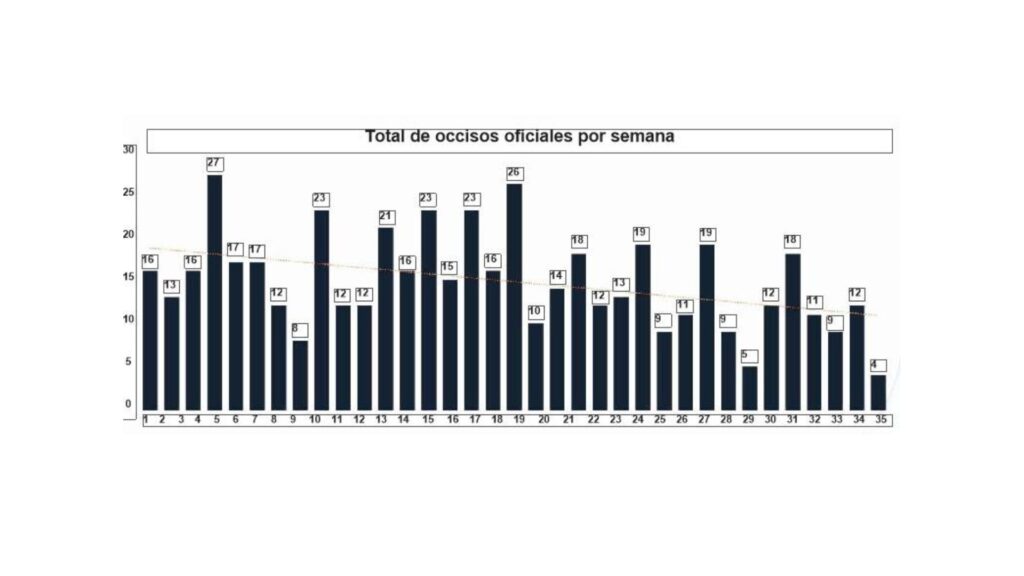Plecas e informacion (1)