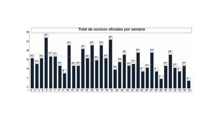 Plecas e informacion (1)