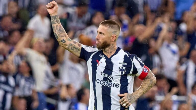 Plecas e informacion (10)