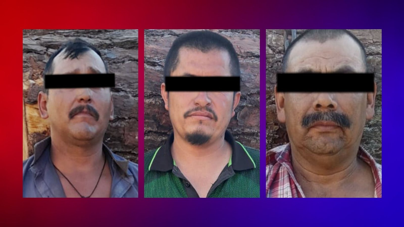 Plecas e informacion -10