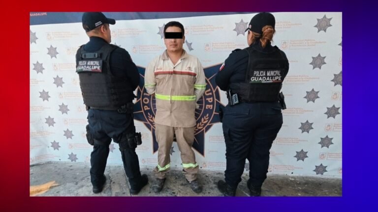 Plecas e informacion (11)