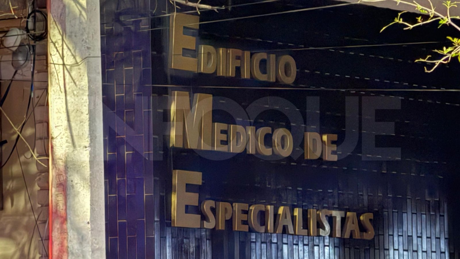 Plecas e informacion (13)