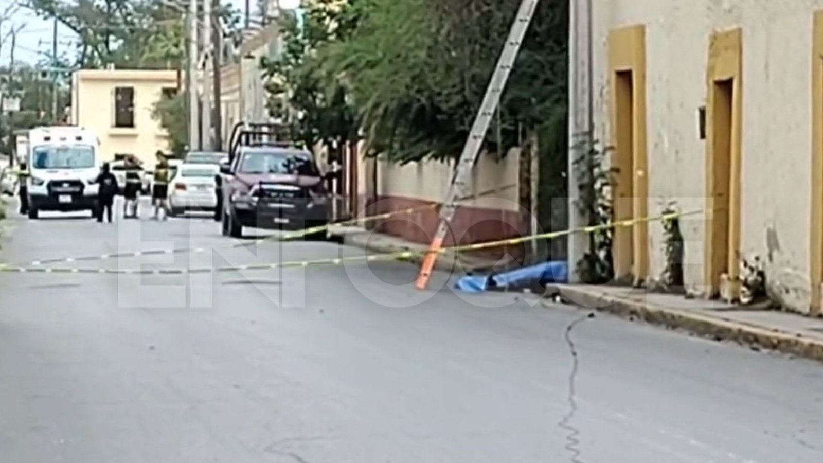 Plecas e informacion (14)