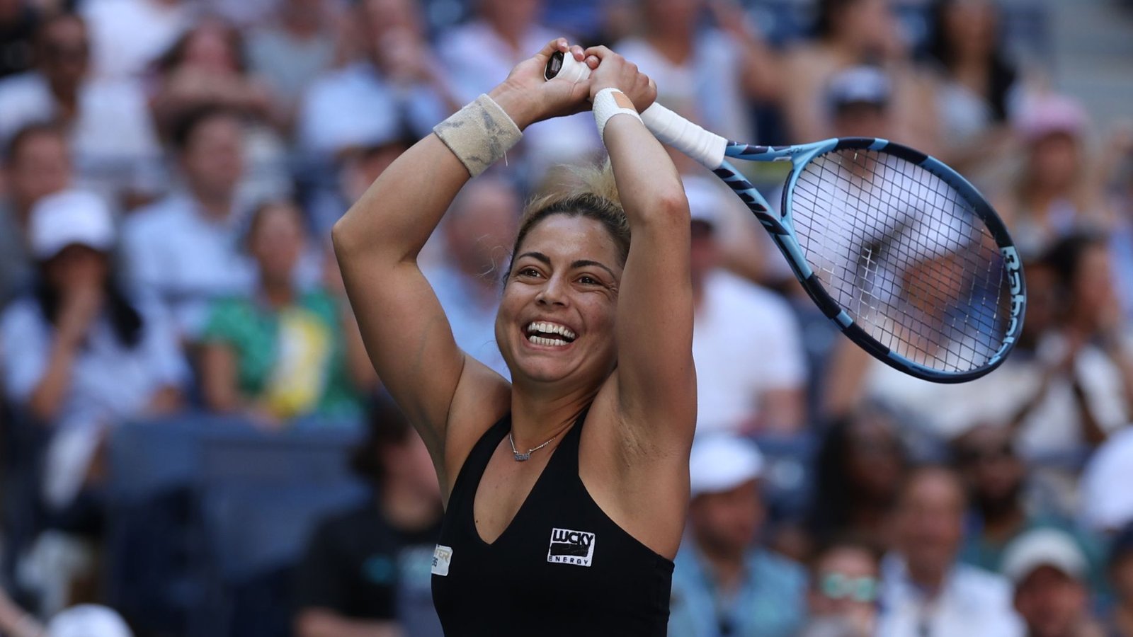 Plecas e informacion (15)