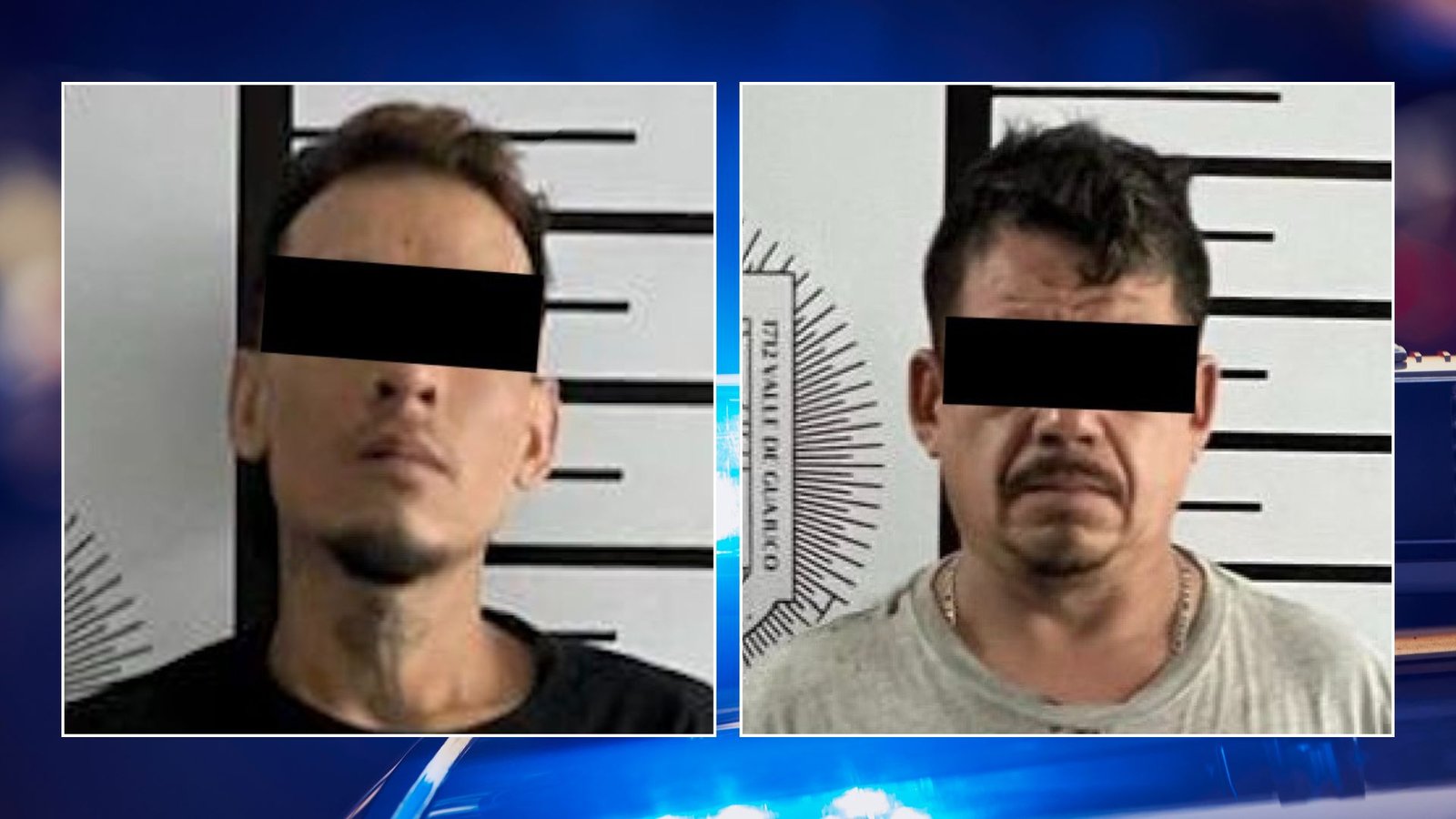 Plecas e informacion (16)