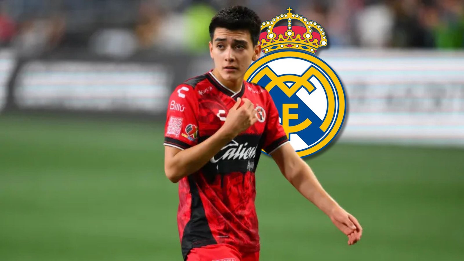 Plecas e informacion (18)