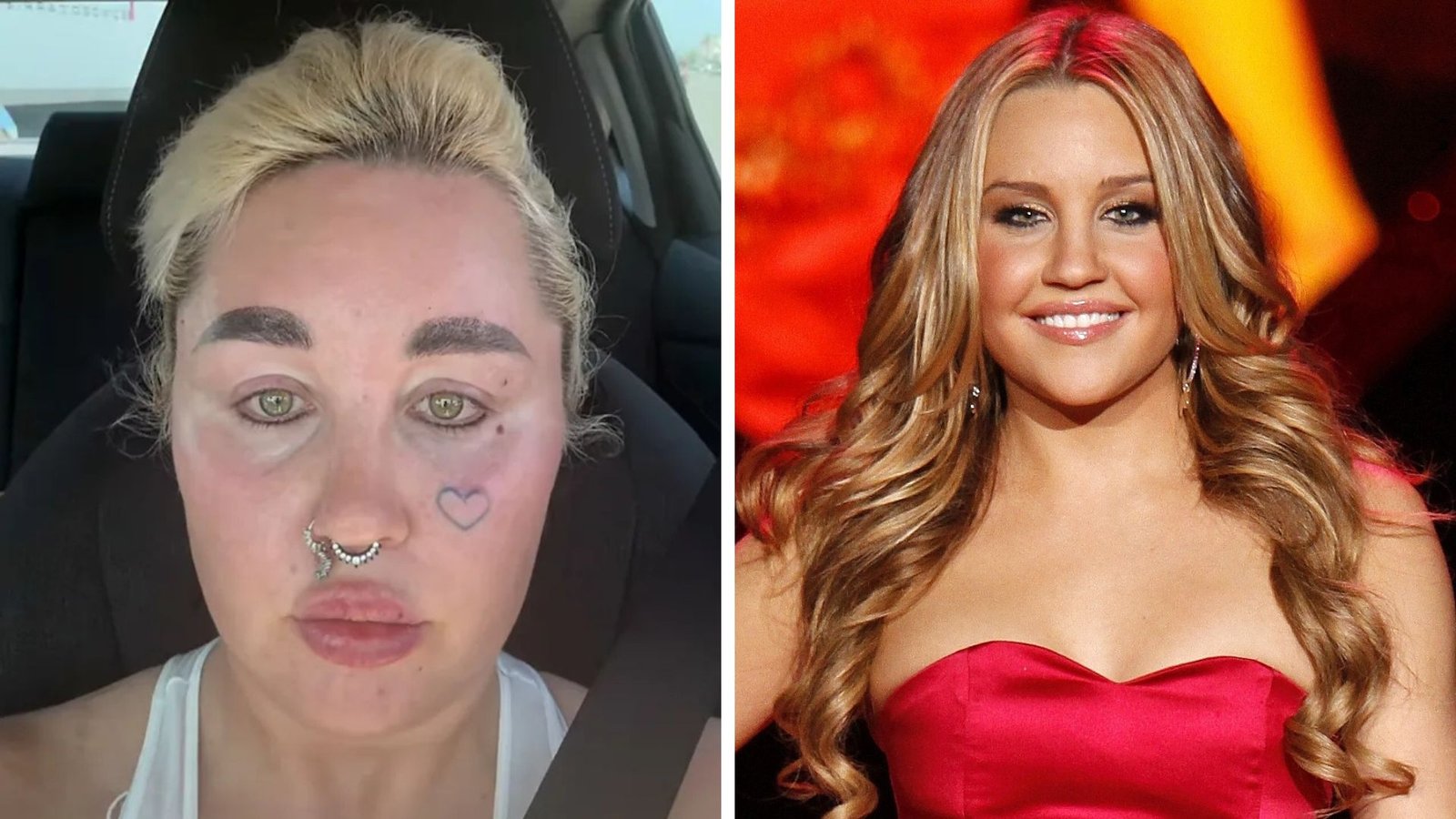 Plecas e informacion (2)