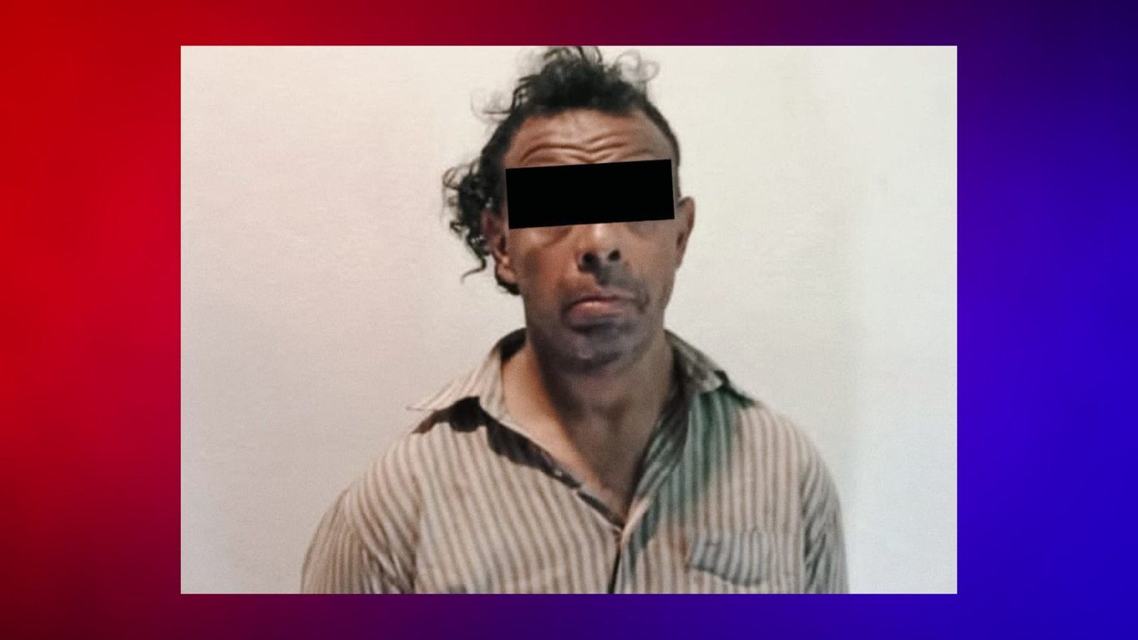 Plecas e informacion (2)