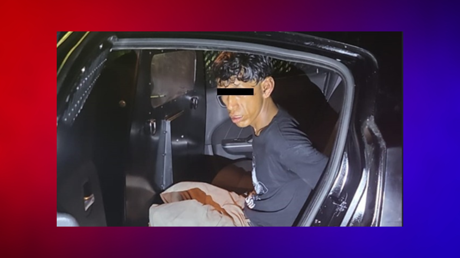 Plecas e informacion (2)