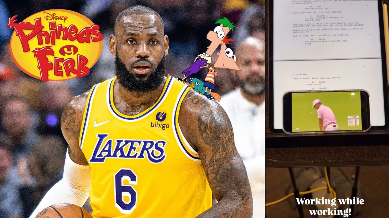 Plecas e informacion (20)