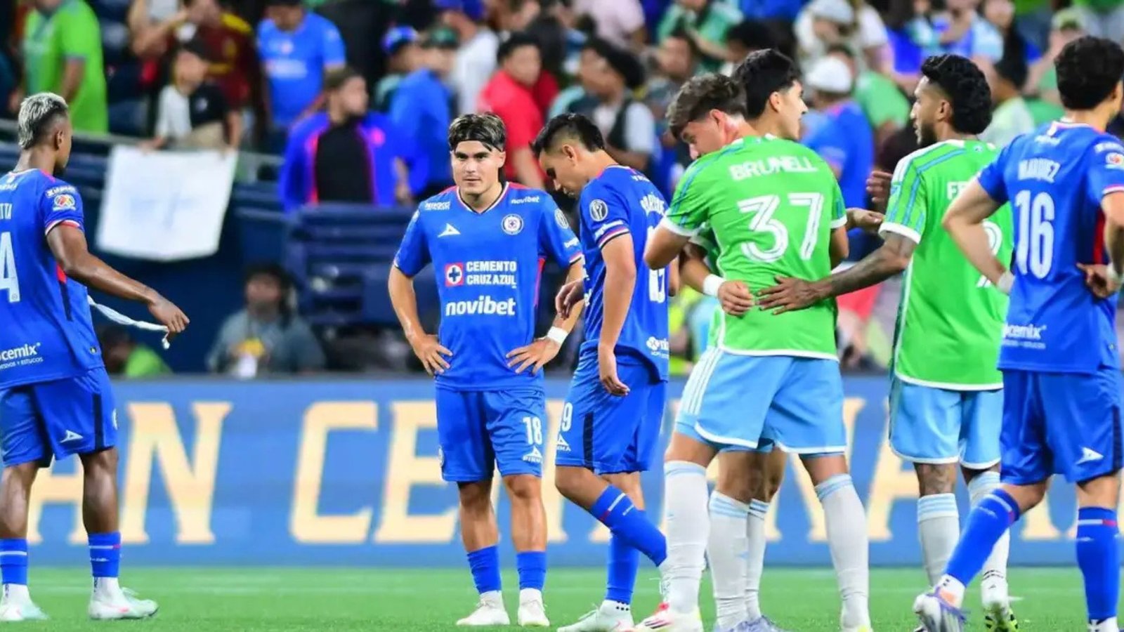 Plecas e informacion - 2025-08-01T122248.680