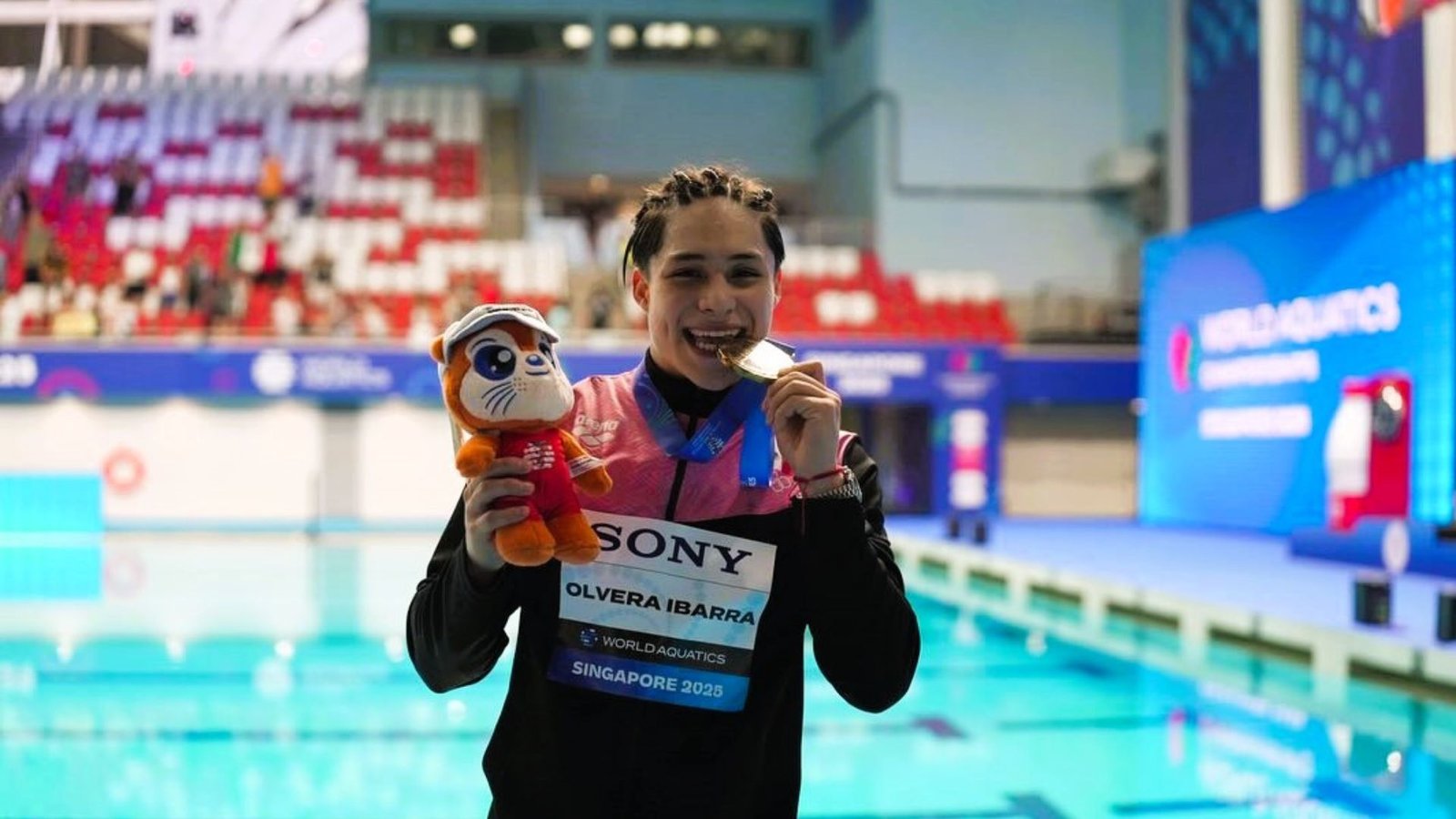 Plecas e informacion - 2025-08-05T154151.108