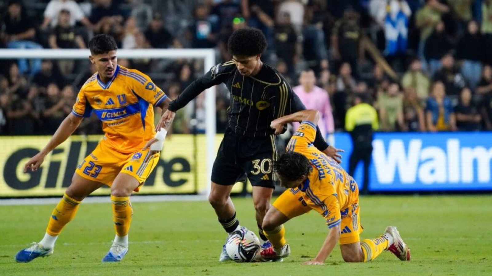 Plecas e informacion - 2025-08-06T131041.594