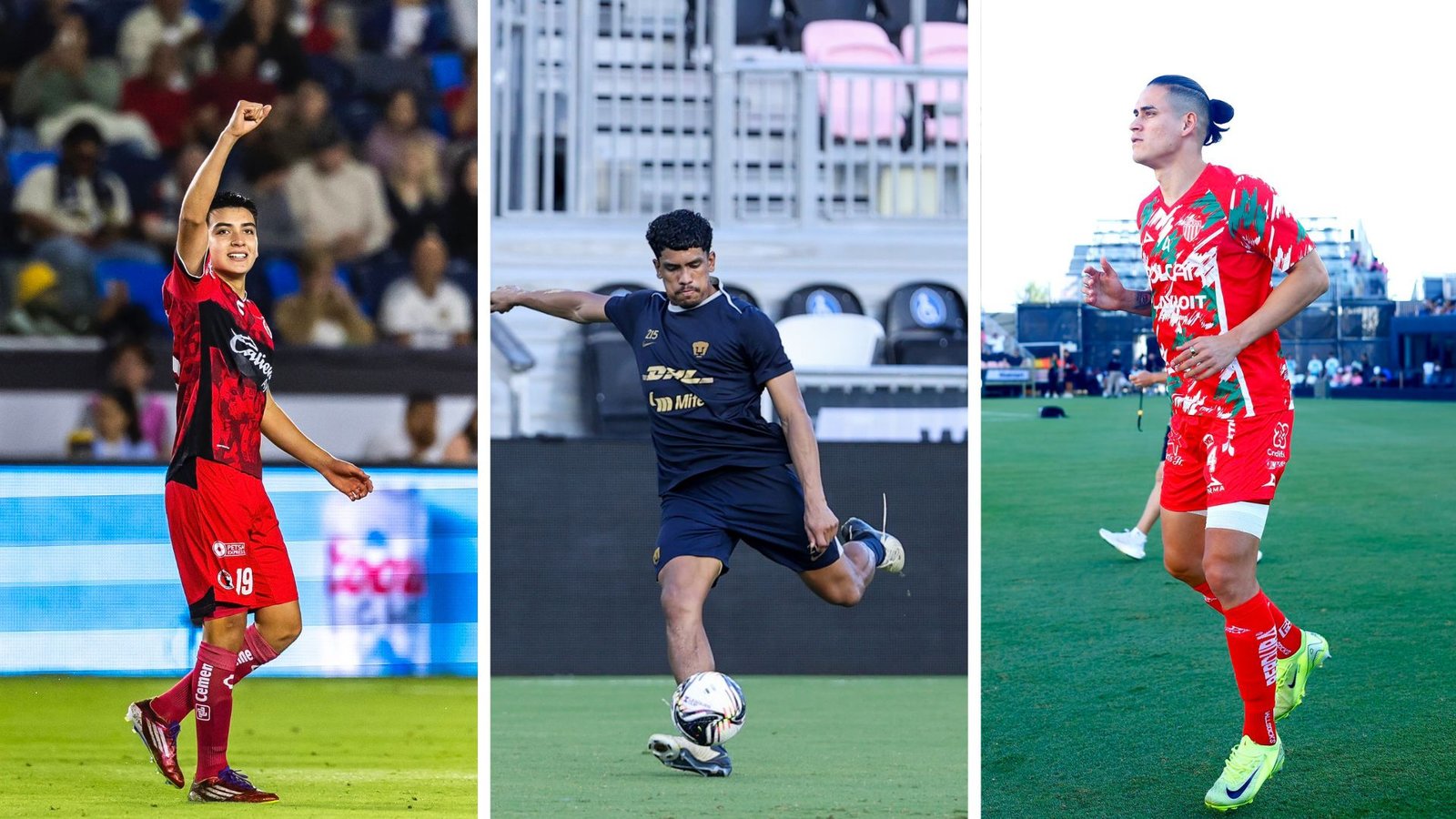 Plecas e informacion - 2025-08-06T132938.284