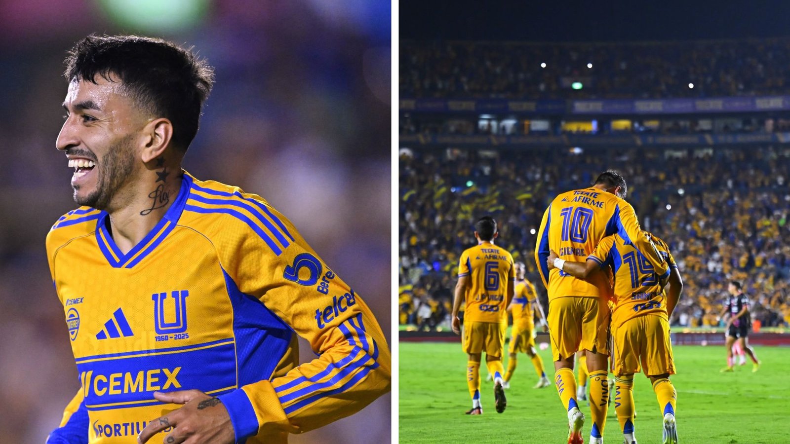 Plecas e informacion - 2025-08-09T052347.439