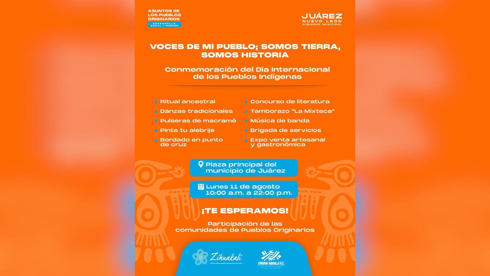 Plecas e informacion - 2025-08-09T115615.674